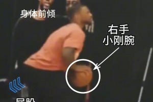 这就是普通人挑战大鲨鱼体型的后果